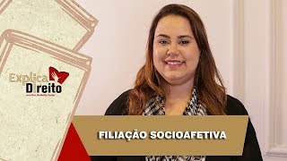 Explica Direito Filiação Socioafetiva  2019 [upl. by Alesi518]