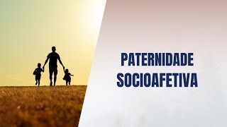 Paternidade socioafetiva [upl. by Annait]