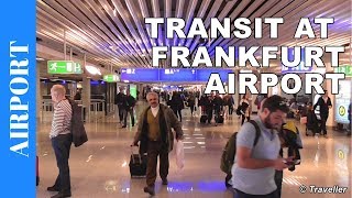 TRANSIT WALK AT FRANKFURT Airport FRA Terminal 1  Connection Flight Transfer Arriving amp Departing [upl. by Ylelhsa]